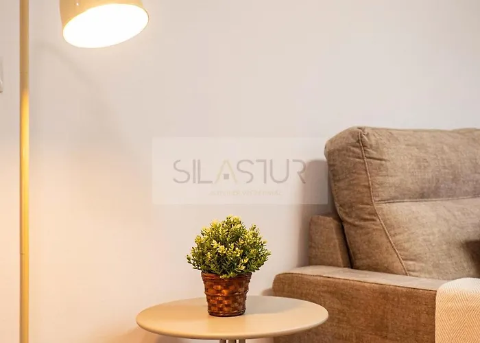 Mercadin By Silastur